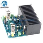 HIFI Amplifier Board 25W 6J1+LM1875 Electronic Valve Amplifier AC12-18V