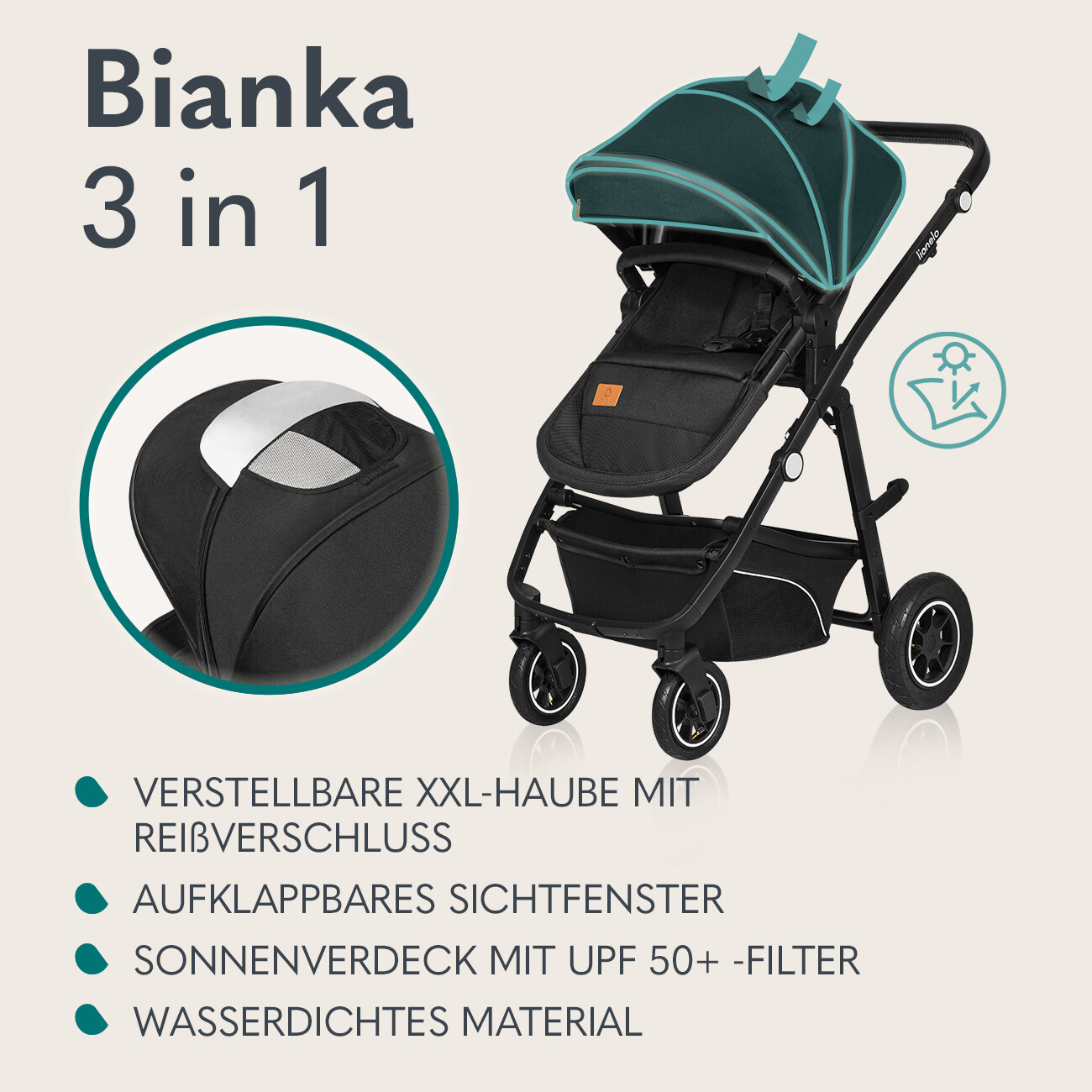 Bild 6 von 37