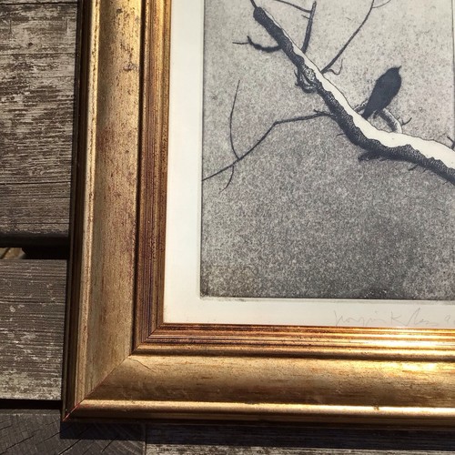 Georgios Kitsos (1939-) Small Framed & Glazed Etching Of A Bird Signed Dated 98 - Picture 6 of 9