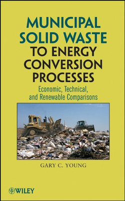 Municipal Solid Waste to Energy Conversion Processes: Economic, Technical, and R