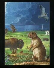 Postcard Stamp Design Great Plains Prairie bison prairie dog falcoln