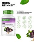 Afbeelding 4 van 7