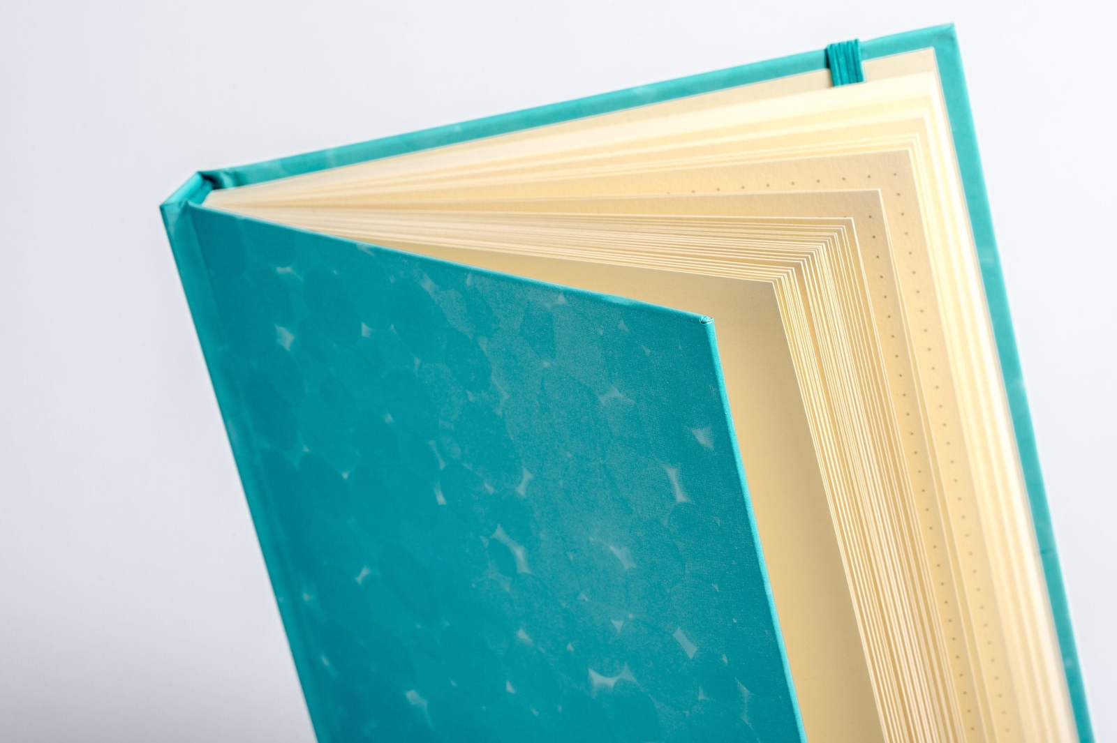 Thumbnail - Anaconda Notizbuch/notebook/blank Book, Punktiert, Textiles Gummiband,