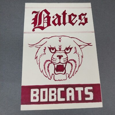 Bates Bobcats Lewiston ME Maine 6x4 Scrapbook Collage Shadowbox Artwork