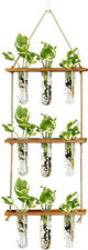 Wall Hanging Propagation Station with Wooden Stand 9 Glass Test Tube Vases