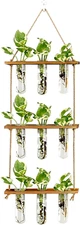 Wall Hanging Propagation Station with Wooden Stand & 9 Glass Test Tube Vases