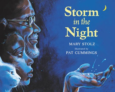 Storm in the Night - Paperback By Stolz, Mary - GOOD