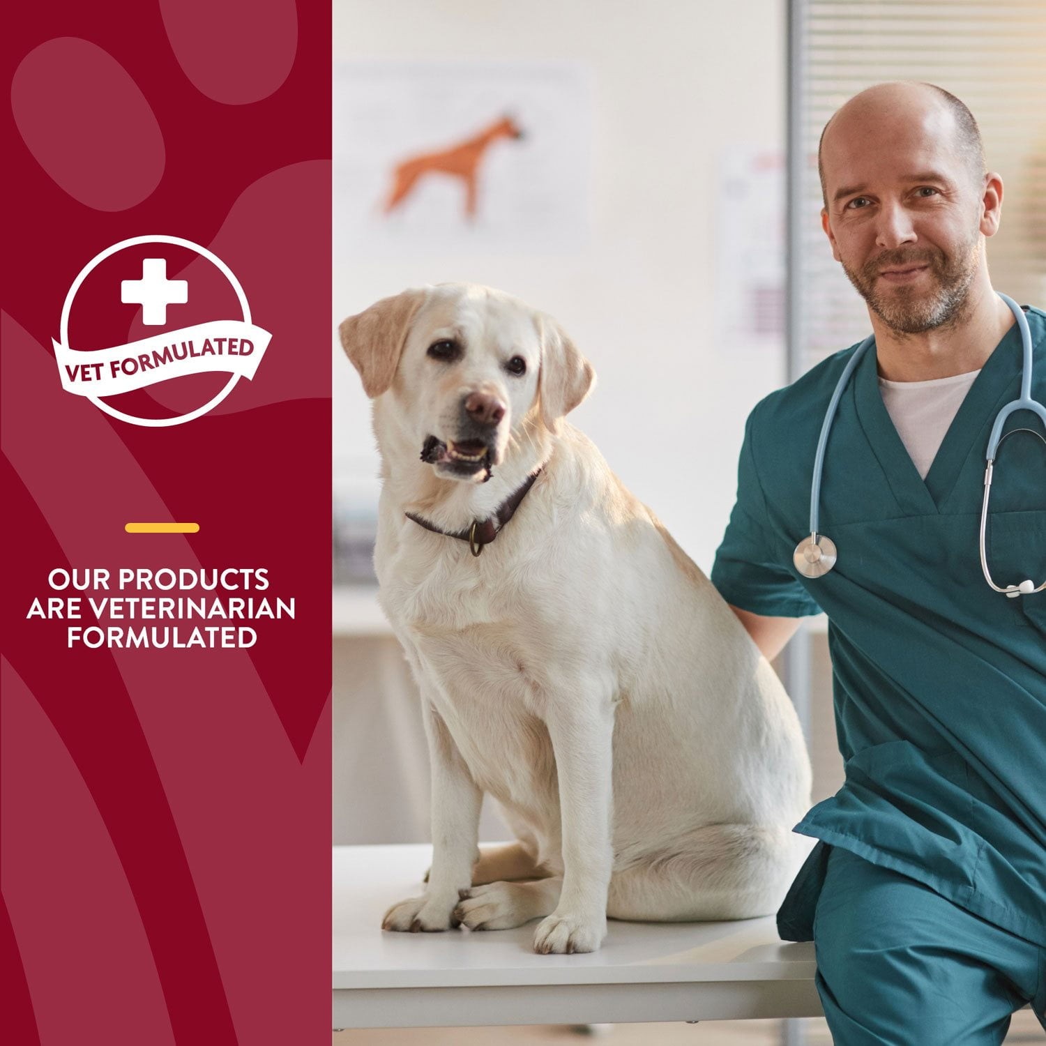 NaturVet, Cranberry Relief Plus Echinacea Soft Chews for Dogs, 120 ct.