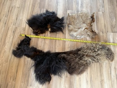 Buffalo Bison & Deer/elk?  Scrap Fur Hide Leather Genuine Hide Project Skin