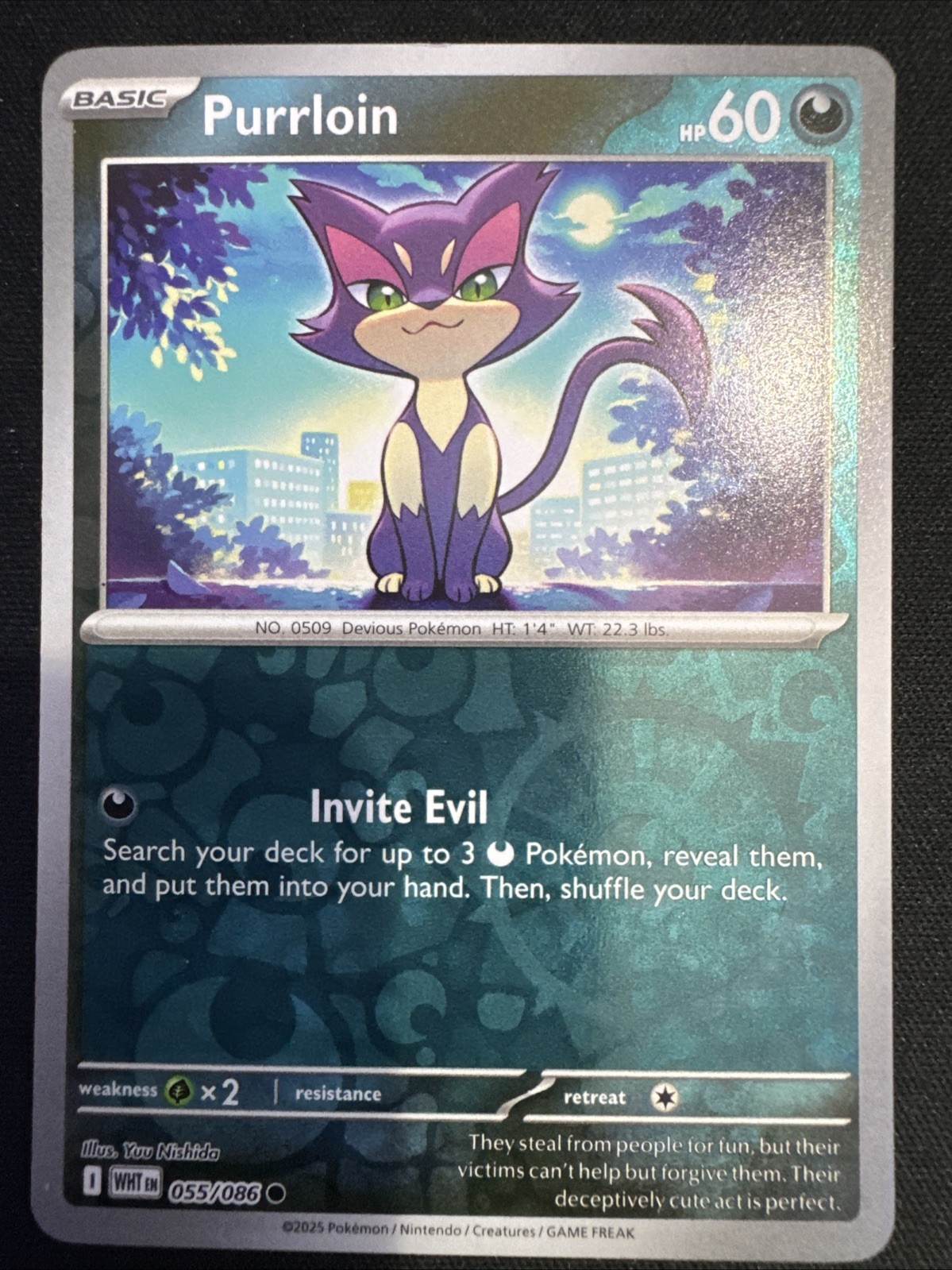 Pokemon Purrloin 55/86 White Flare Common Reverse Holo NM TCG A1