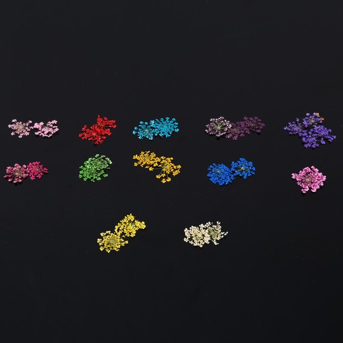 12Colors Nail Decoration Real Dried Flower Manicure Gel Tips Design Accessor TOU