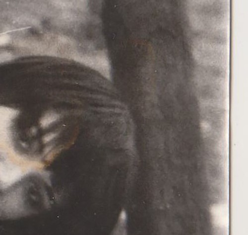 Young Woman Girl Bold Gaze Winter Artistic Strange Pose Vintage Abstract Photo - Picture 5 of 7
