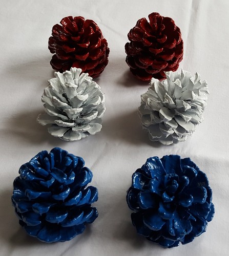 Lot of 6 Small 2.5-3 inch Patriotic Pine cones for decoration crafts etc - Picture 8 of 8