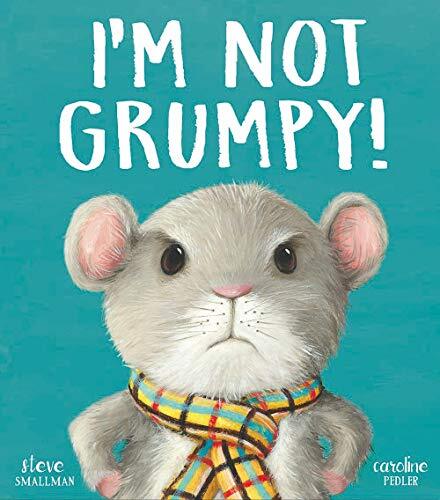 I’m Not Grumpy! by Steve Smallman PAPERBACK - Image 3
