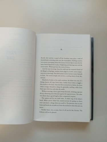 The Displacements : A Novel by Bruce Holsinger (2022, Hardcover) - Picture 18 of 24