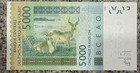 2003 West African CFA 5000  Francs  UNCIRCULATED Banknote 063014 — photo 4
