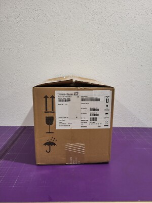 ENDRESS HAUSER Promag P300 5P3B25 DN25 1'' _9.5_5