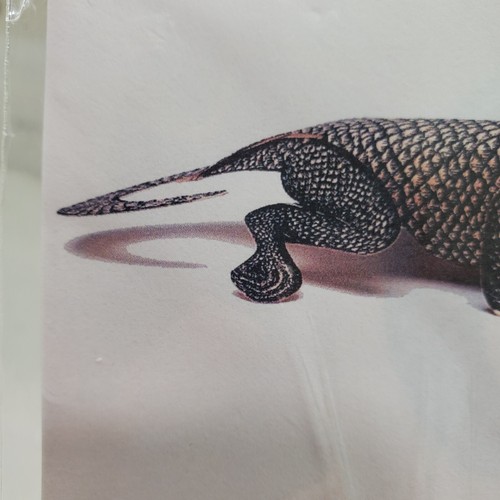 Lizard Paper Sculpture Precut Adhesive & Instructions Include Questionable Press - Picture 18 of 24