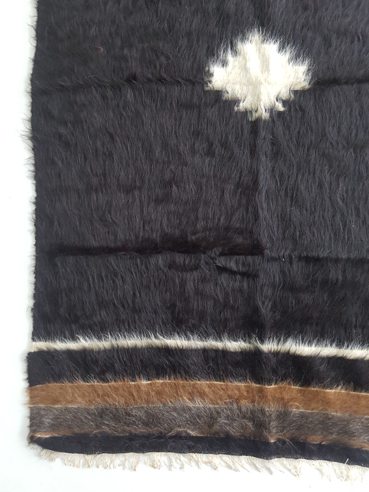 Bild 3 von 12