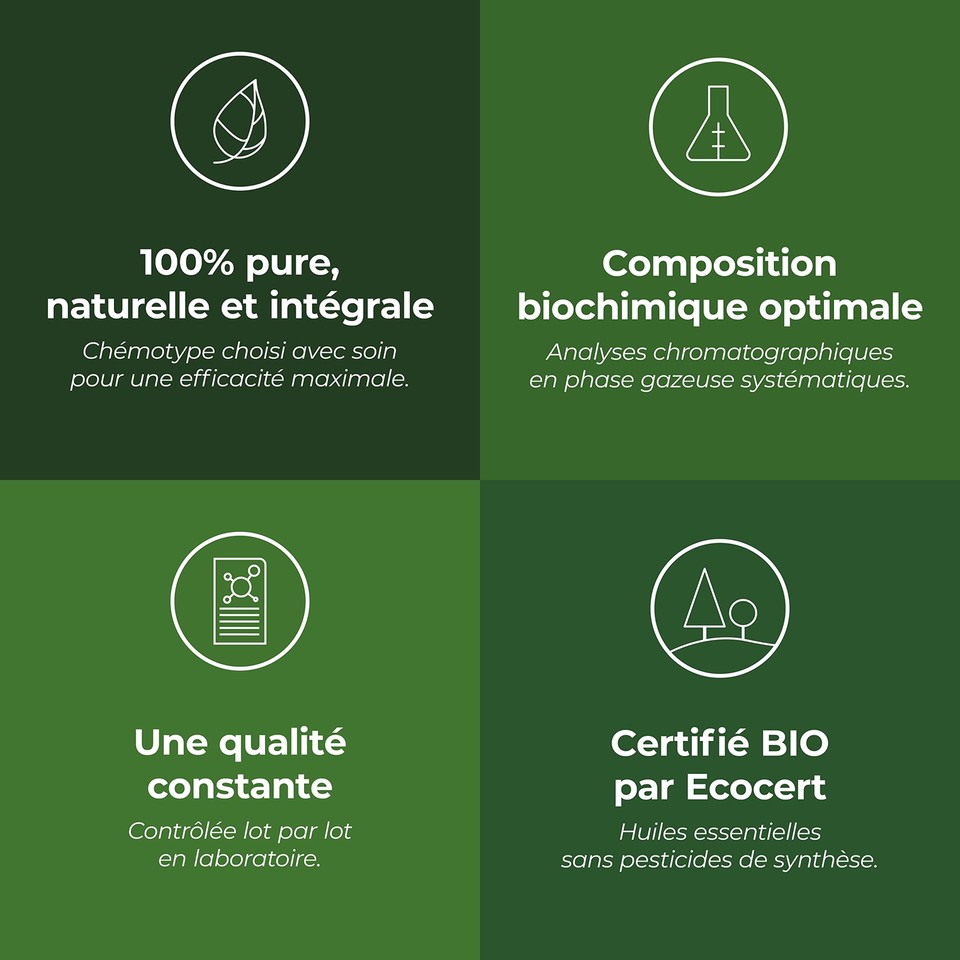 Aroma Labs Bio-Leinsamenöl – Nativ, Cosmos Zertifiziert, 100 Ml