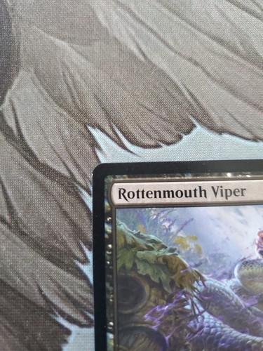 Magic the Gathering Rottenmouth Viper Bloomburrow 2024 NM English - Picture 2 of 6