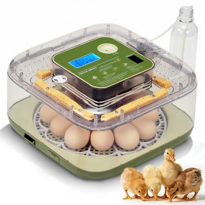 Smart Automatic Egg Incubator for 12 Eggs High Hatchability with LED Lighting