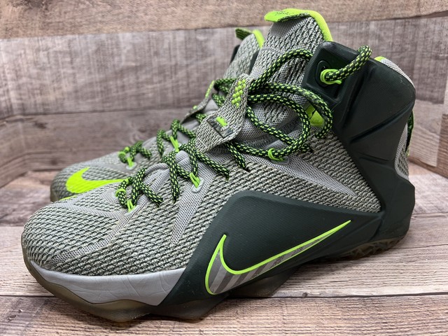lebron 12 dunkman