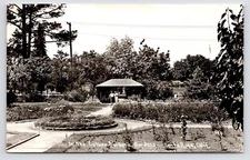 c1950s Luther Burbank Gardens Vtg Photo Santa Rosa California CA RPPC Postcard