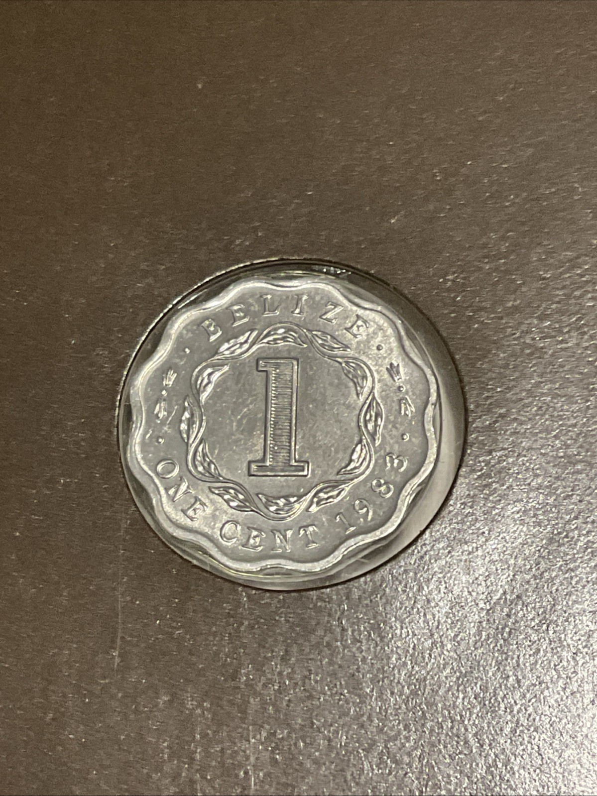Picture 16 of 16