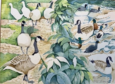 Eric Waugh b1929 - Modern British School Watercolour - Gänse & Enten - Fine Art