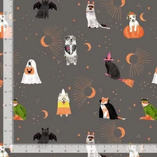 Sweetstumes in Slate | Costume Party | Dear Stella