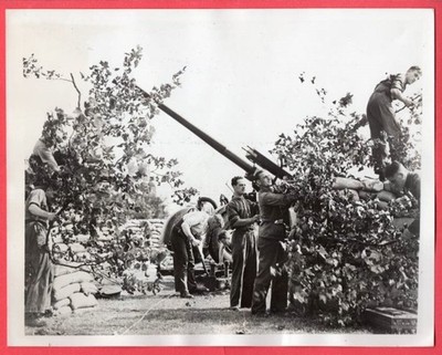 1939 Camouflaging British Anti-Aircraft Gun London England Original News Photo
