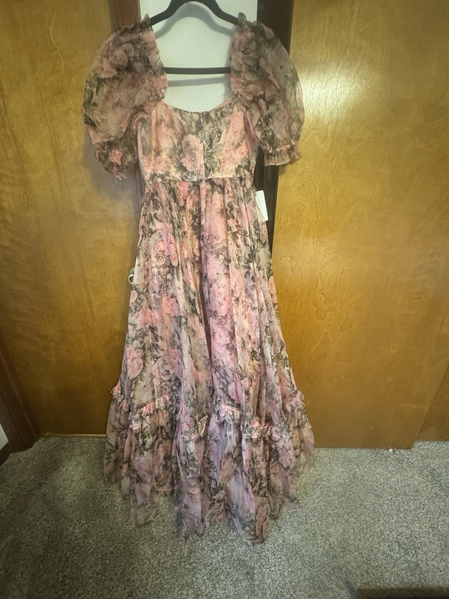 silk gauze dress Selkie Queen Bee Silk Gauze Ritz Gown Pink Floral Maxi Dress S