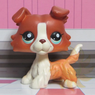 lps rare dogs
