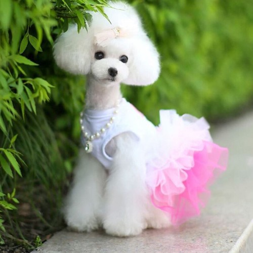 Dog Skirt Chihuahua SmallDog Princess Dress Pet Dress Cotton Puppy Cat Clothes🔥 - Picture 14 of 59
