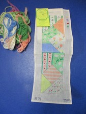 The Elegant Stitch Handpainted Needlepoint Canvas Eyeglass Case w/ Yarn  Extra