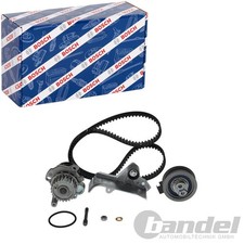 Courroie de distribution Seat EXEO