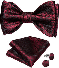 Men Bow Tie Paisley Striped Self-Bow Tie for Men and Silk Woven Bowtie Pocket Sq