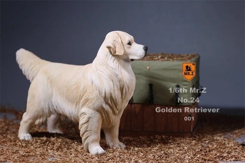 Mr.Z 1:6 Golden Retriever Dog Model Pet Animal Figure Collection Decor Toy Gift - Picture 6 of 25