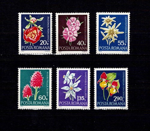 Rumänien 1972 Blumen Mi. 3023-28 postfrisch
