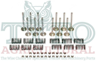 David Brown 1594 1690 1694 Tractor Engine Valve Train Kit | eBay