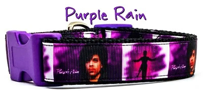 Rock Star dog collar handmade adjustable buckle collar 1" or 5/8" wide or leash