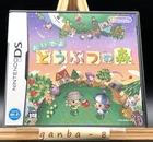Animal Crossing: Wild World (Nintendo DS,2005) from japan