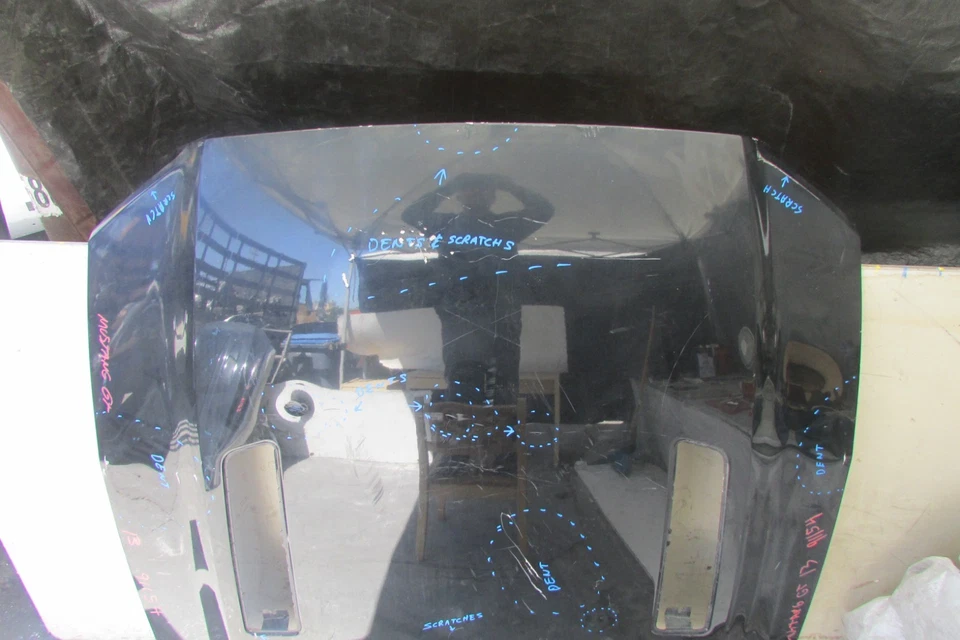 Ford Mustang GT 2013 2014 5,0 ¡panel del capó superior delantero OEM!!SOLO RECOGIDA LOCAL!!! Foto 3 de 4