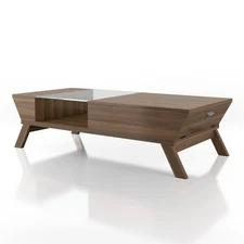 Soto Contemporary Wood Coffee Table with Storage in Walnut
