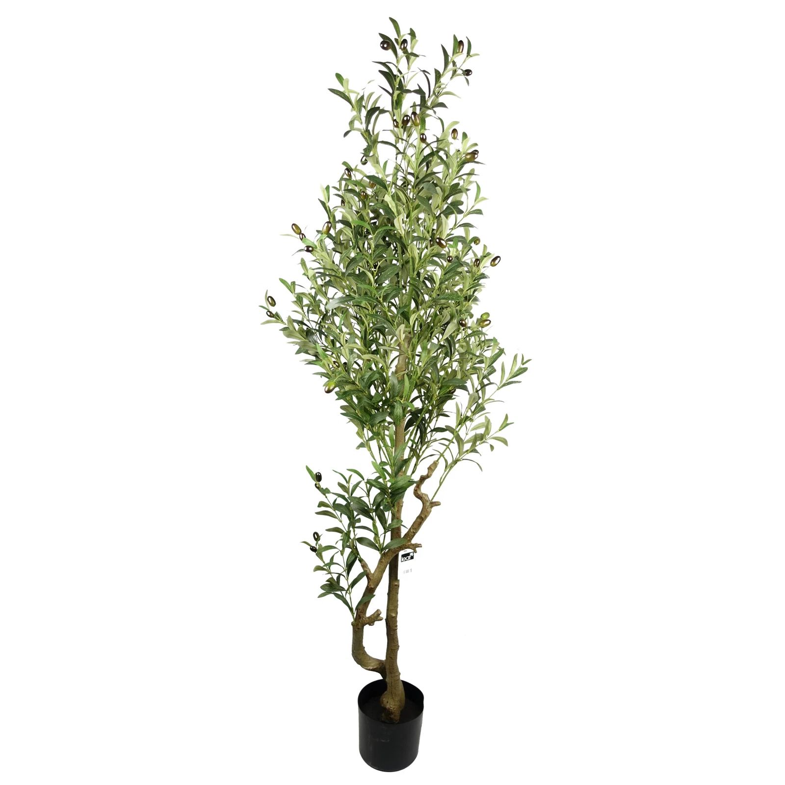 160cm Olive - 40629