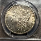 (1) Gorgeously Toned Antique 1880-S Morgan Silver Dollar PCGS MS65