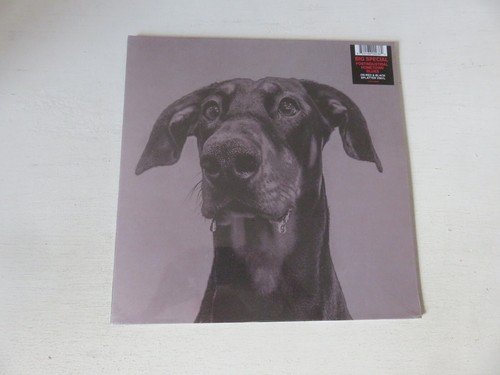 BIG SPECIAL Postindustrial Home Town Blues RED & BLACK VINYL LP & SIGNED PRINT - Imagen 6 de 11