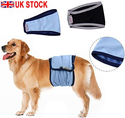 dog nappies uk