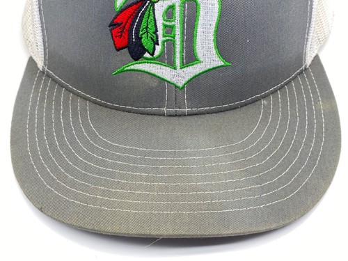 RARE Dirty Birds Hockey D Series 4D3 SnapBack Hay Mesh Back Detroit Tigers LOGO - Picture 7 of 19